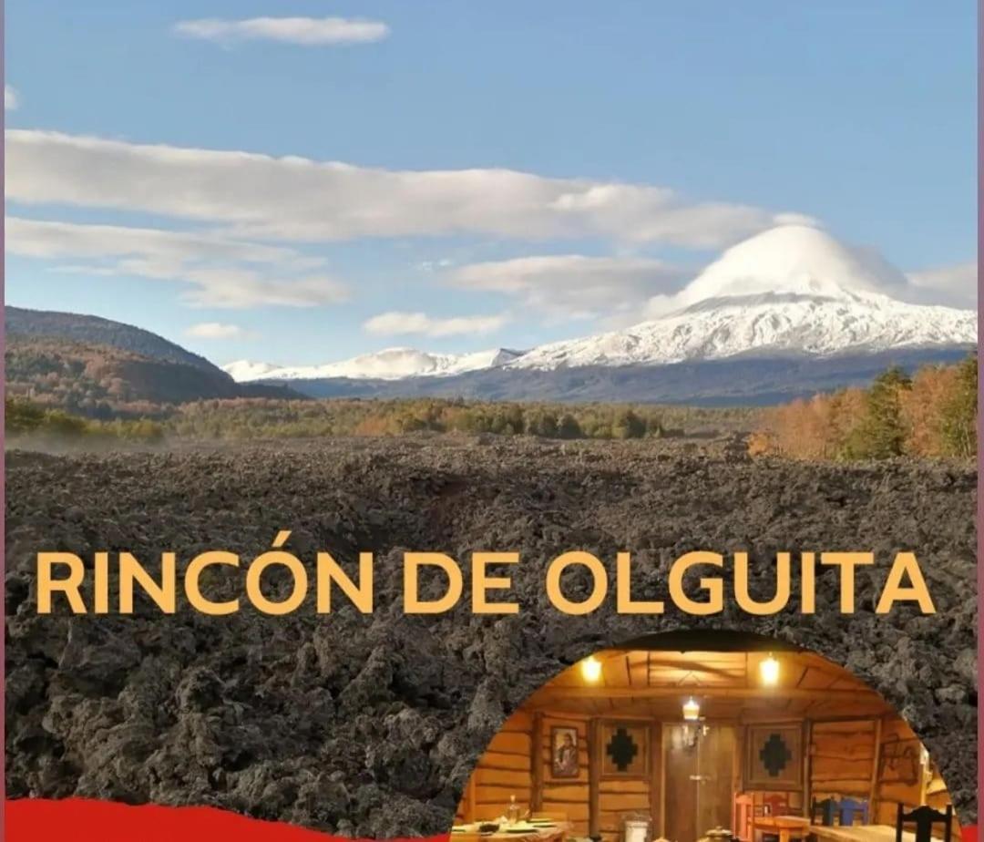 El Rincon De La Olguita Villa Curacautin Ngoại thất bức ảnh