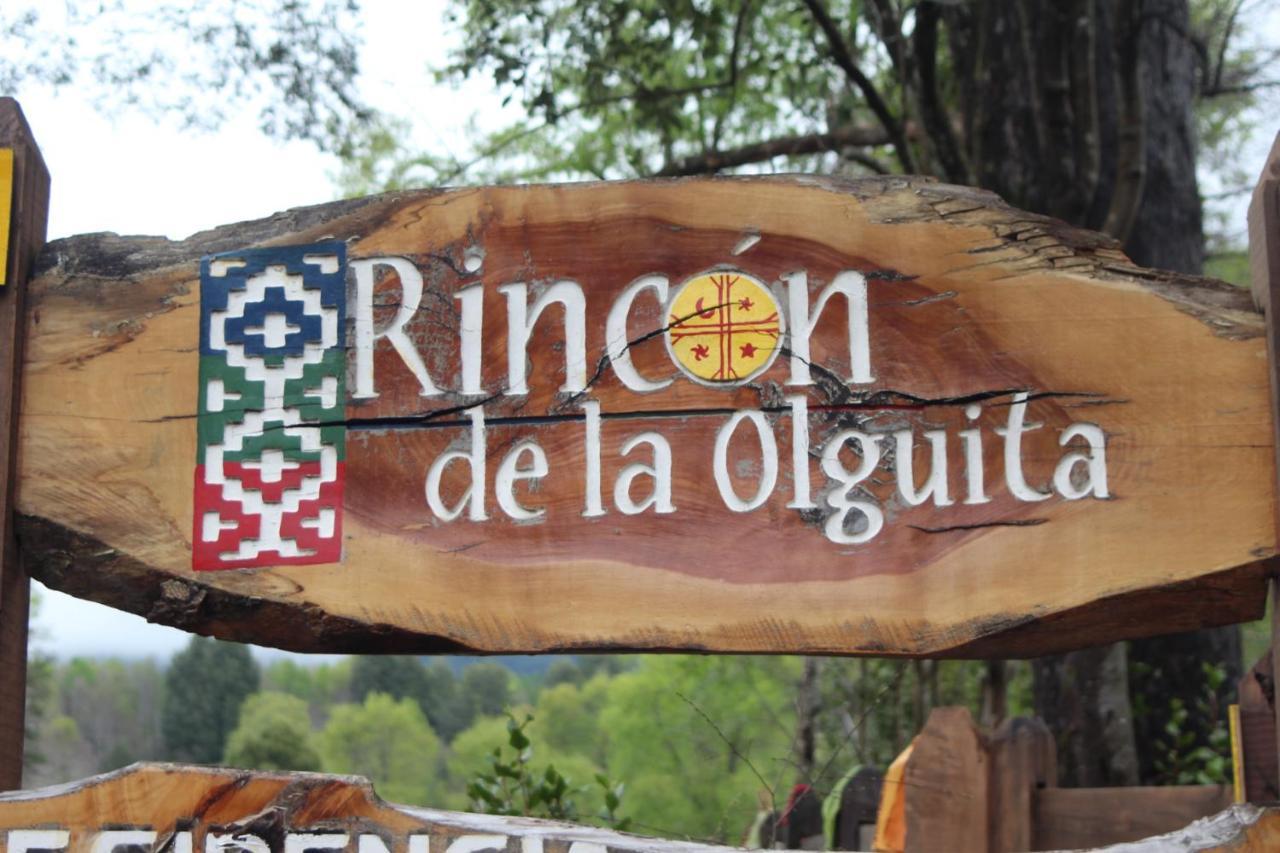El Rincon De La Olguita Villa Curacautin Ngoại thất bức ảnh
